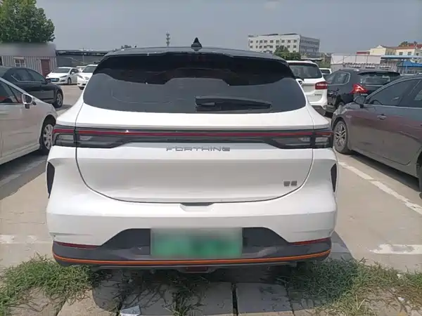 Dongfeng Wind And Thunder 2024