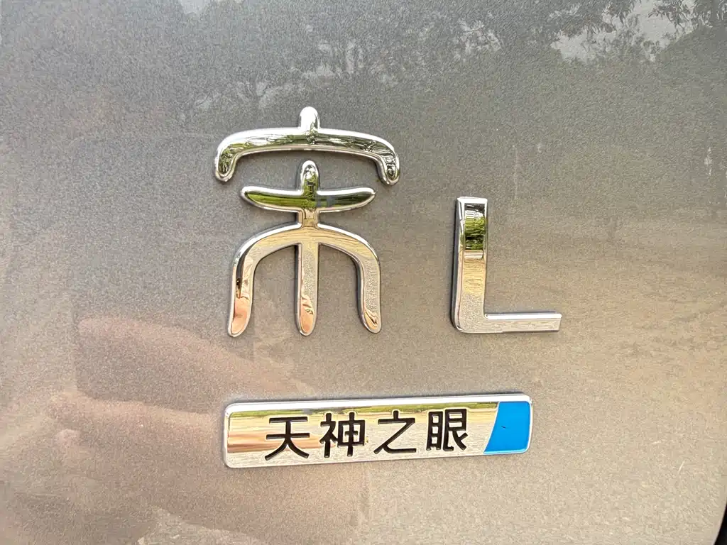 BYD L DM-i 2025 — фото 15