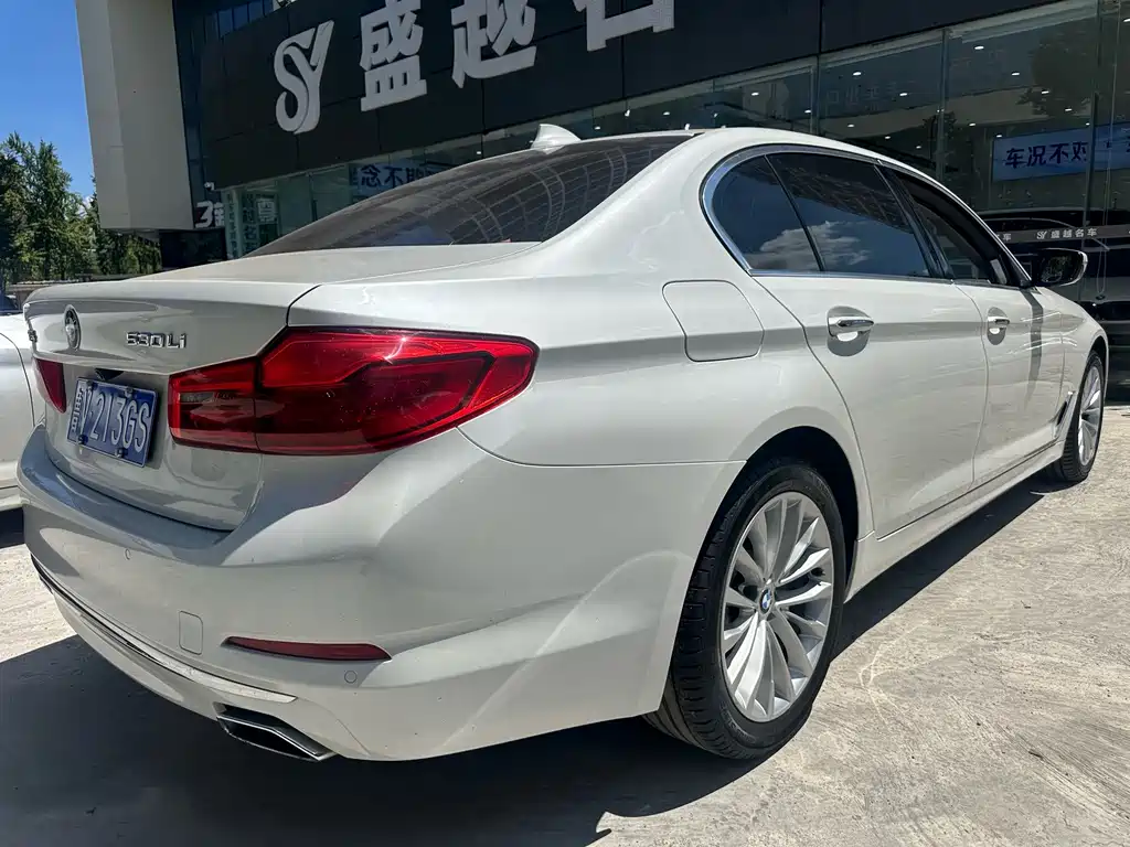 BMW 5 Series 2019 — фото 14
