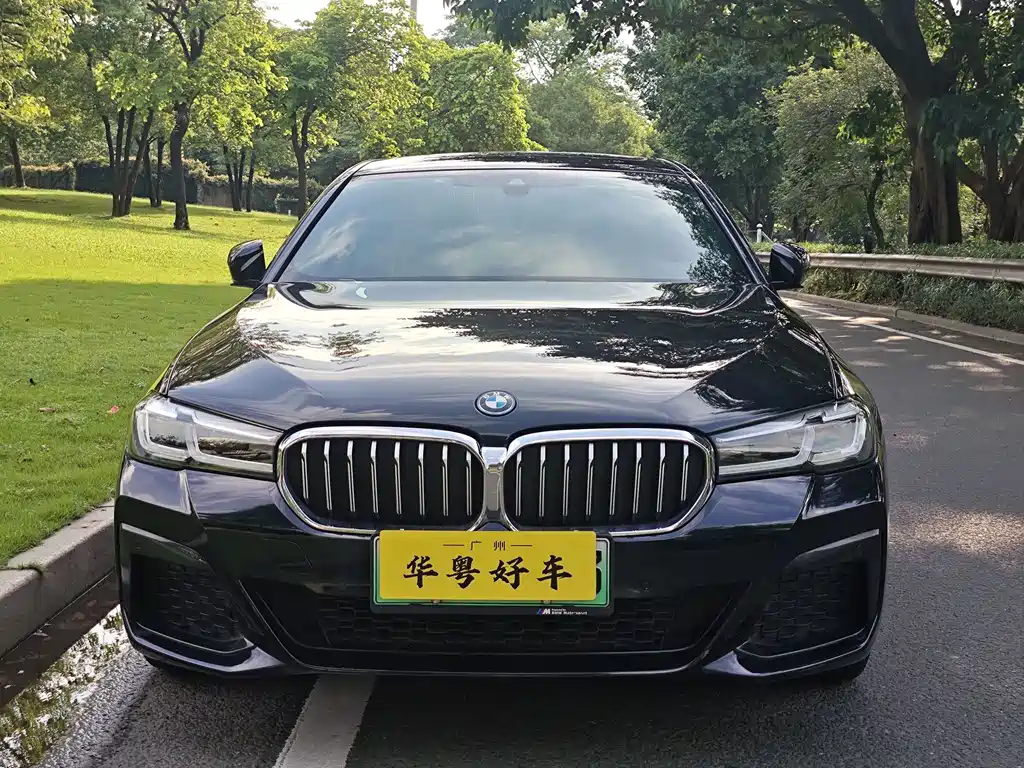BMW 5 Series New Energy 2022