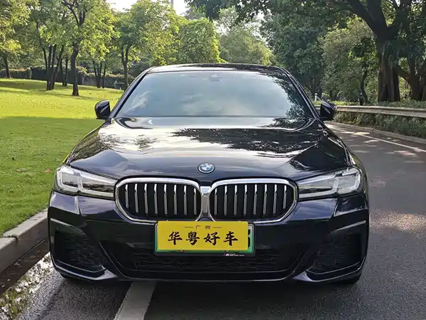 BMW 5 Series New Energy 2022