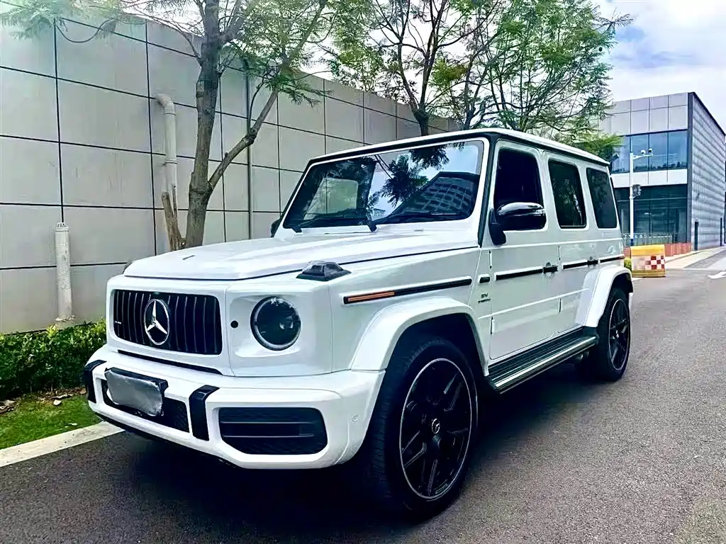 Mercedes-Benz G-Class AMG 2019 — фото 1