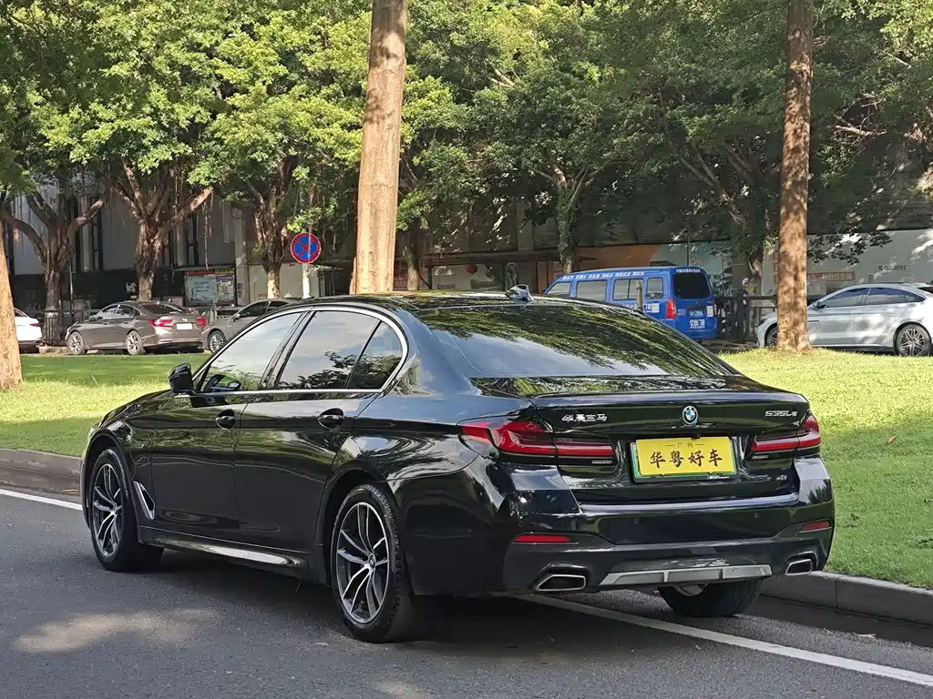 BMW 5 Series New Energy 2022