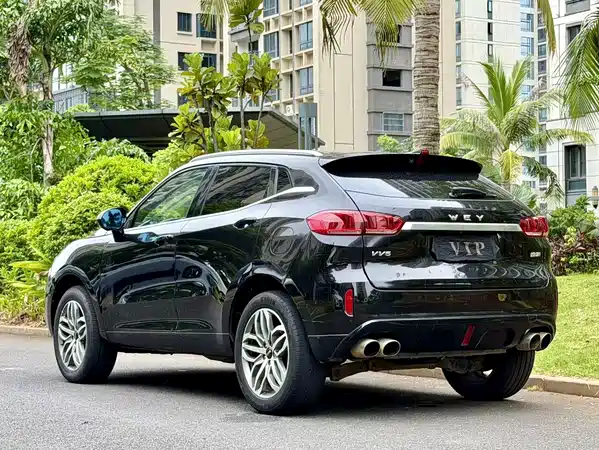 Wey VV5 2018
