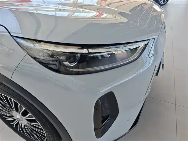 Chery Fengyun T9 2024