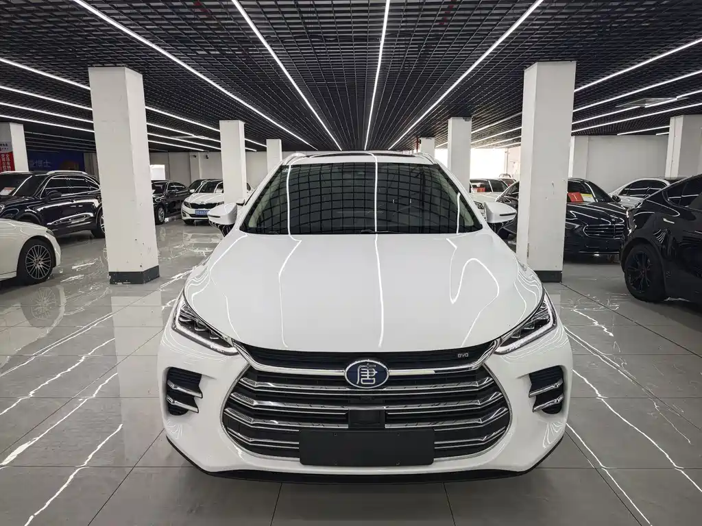 BYD Tang New Energy 2019 — фото 1