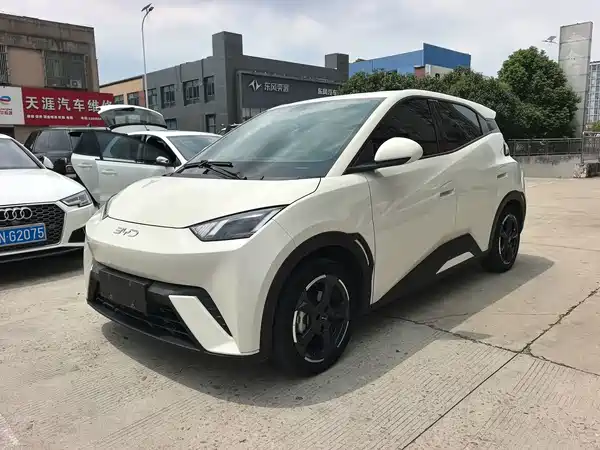 BYD Seagull 2024