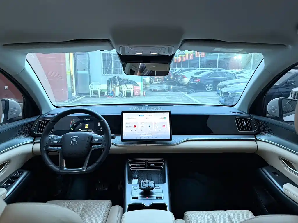 BYD Pro New Energy 2025