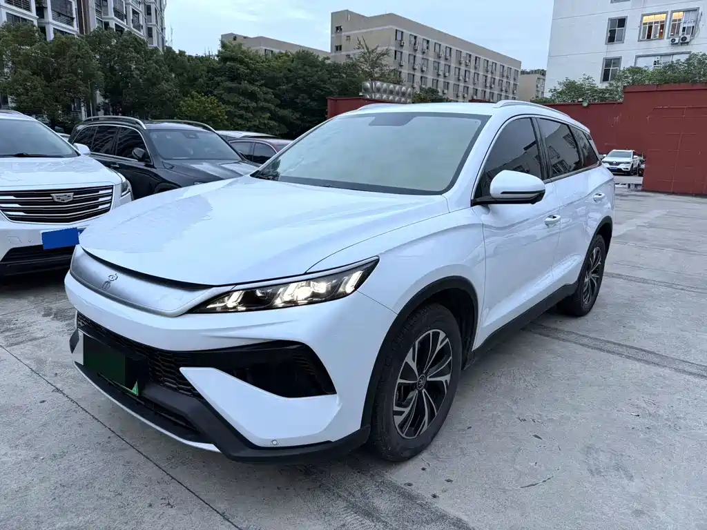 BYD Pro New Energy 2025