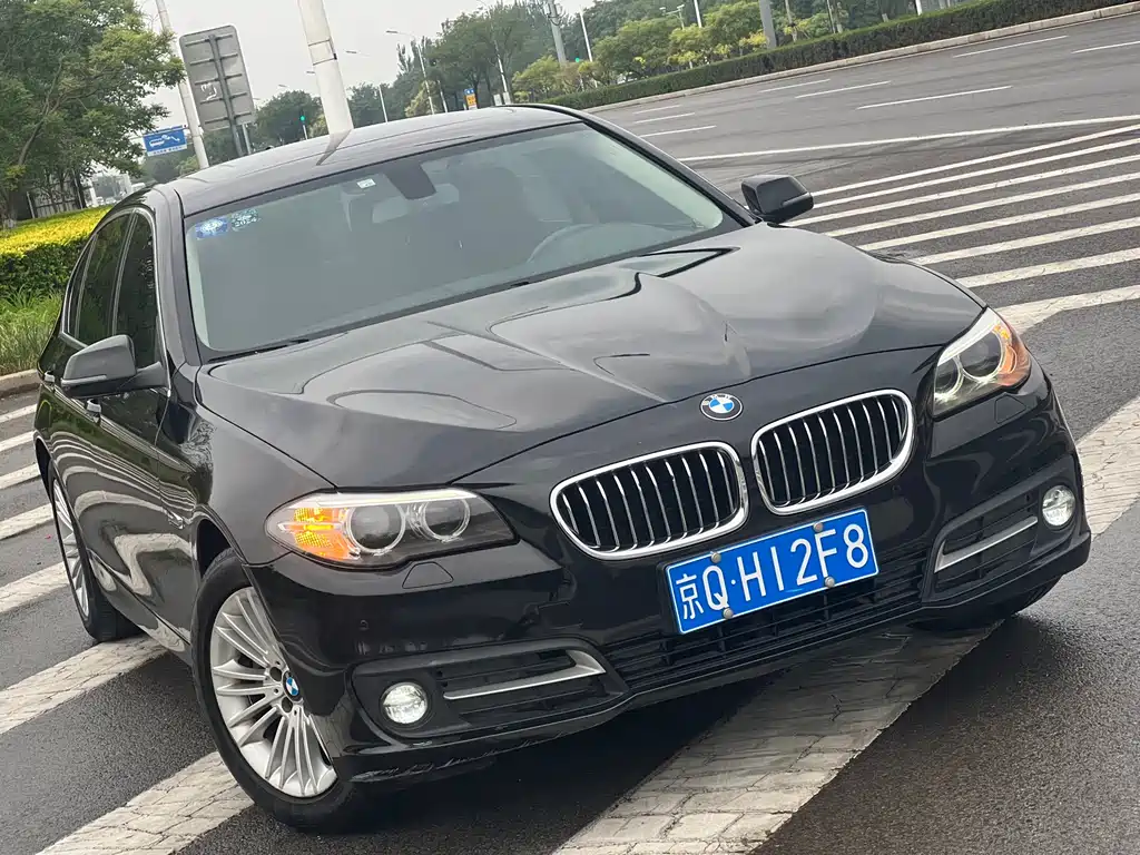 BMW 5 Series 2016 — фото 16