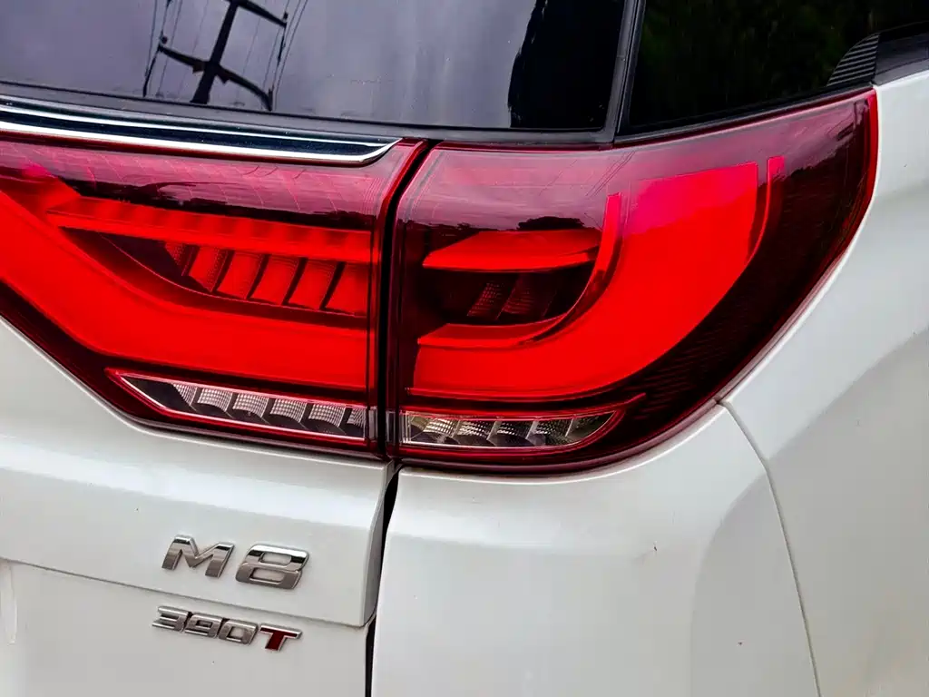 GAC Trumpchi M8 2021 — фото 11