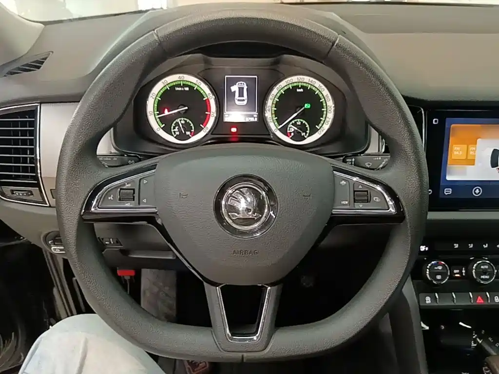 Skoda Kodiaq 2019 — фото 11