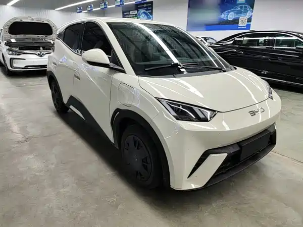 BYD Seagull 2024