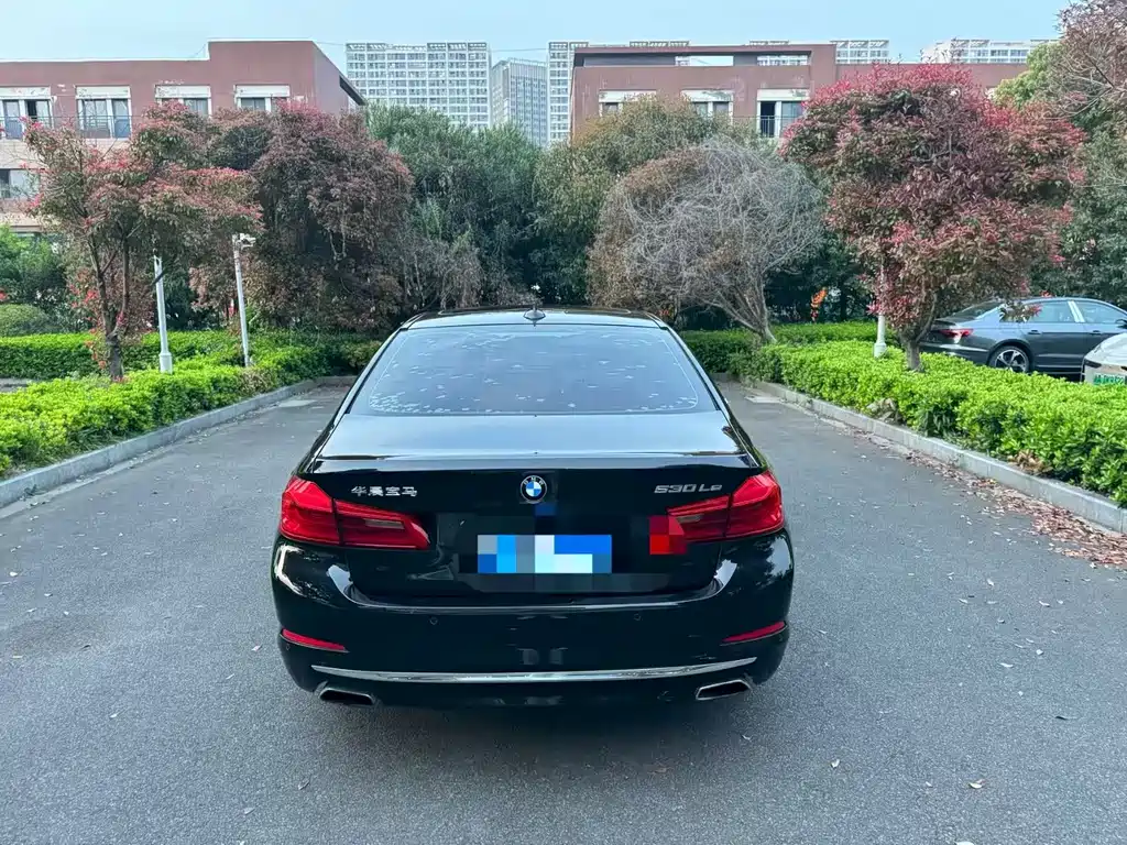 BMW 5 Series New Energy 2019