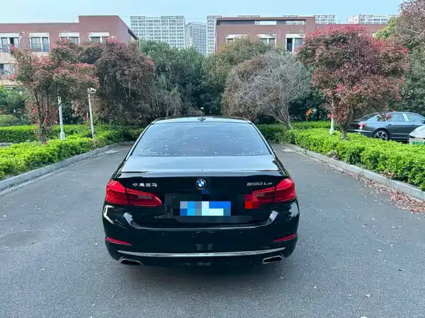 BMW 5 Series New Energy 2019