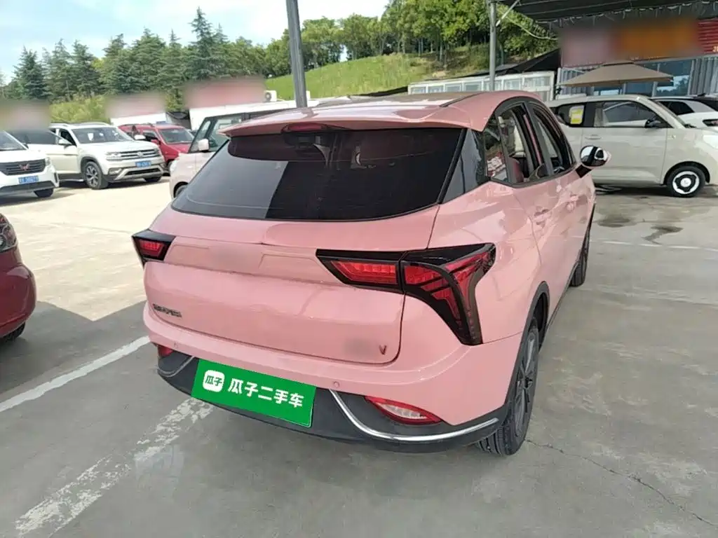 Neta V 2022