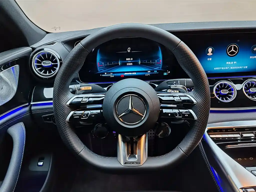 Mercedes-Benz AMG GT 2025 — фото 12