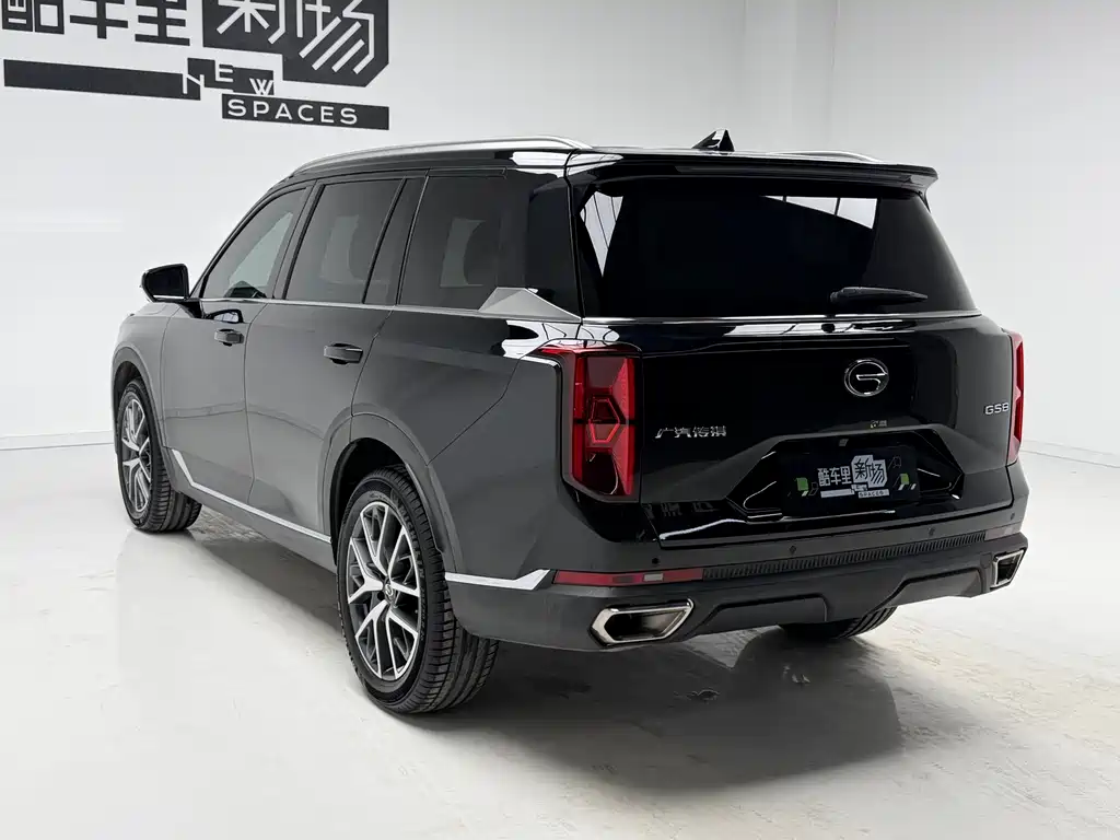 GAC Motor Trumpchi GS8 2024 — фото 6