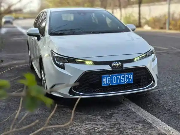 Toyota Levin 2019
