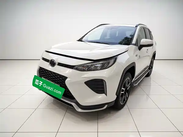 Toyota Weilanda New Energy 2021
