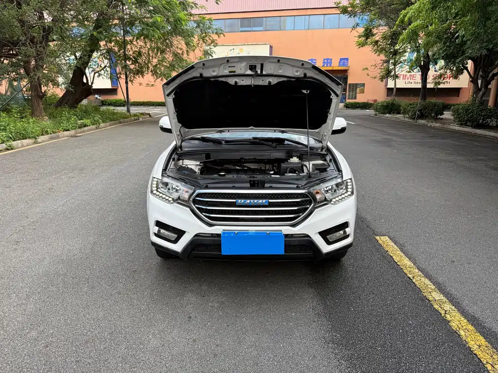Haval H6 Coupe 2017 — фото 17