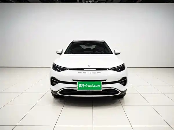 Denza X 2021