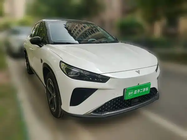 Neta L 2024