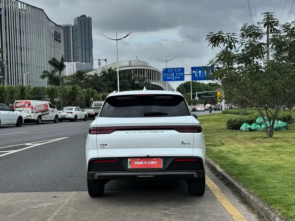 BYD Pro New Energy 2024 — фото 8