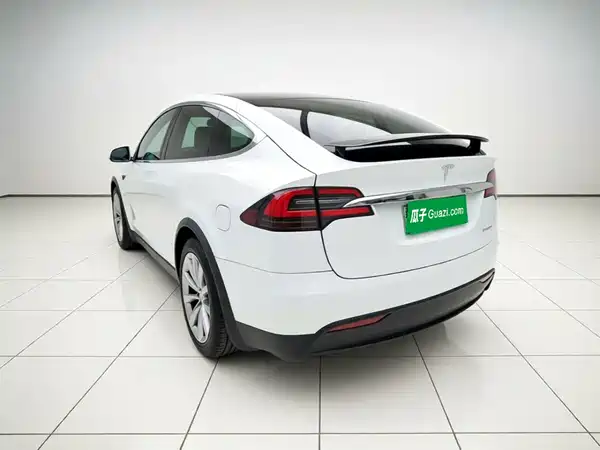 Tesla Model X 2020