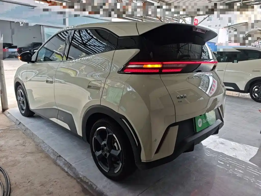 BYD Seagull 2024
