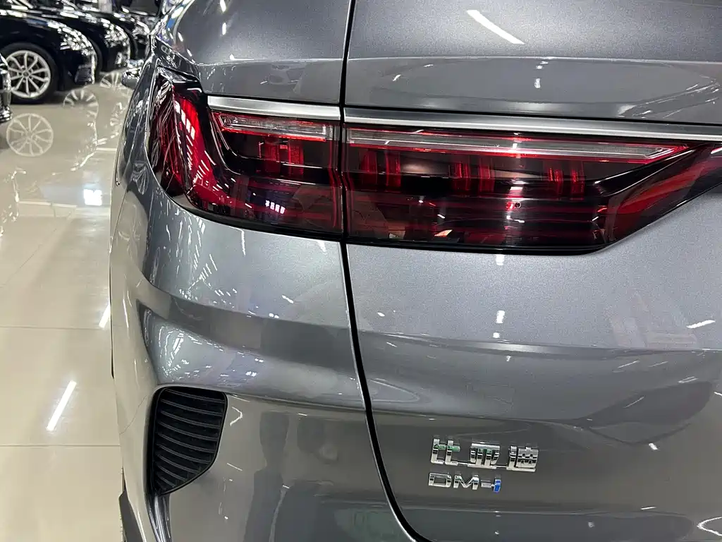 BYD PLUS New Energy 2023 — фото 19