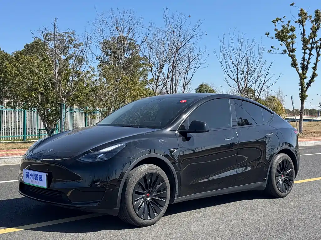 Tesla Model Y 2023 — фото 3