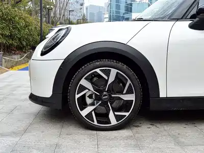 MINI MINI 2025