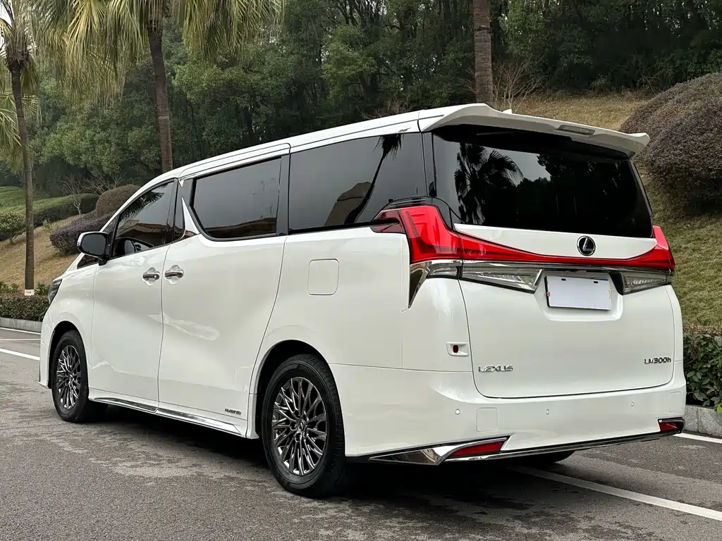 Lexus LM 2020 — фото 23