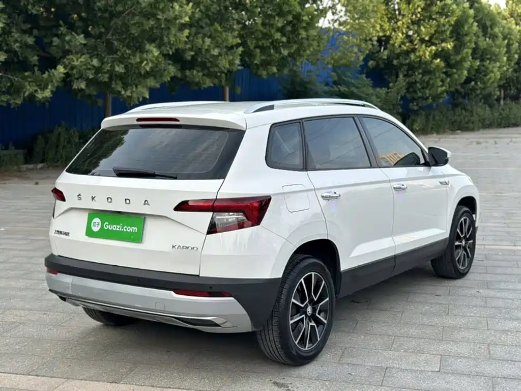 Skoda Karoq 2020 — фото 8