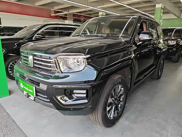 Tank 700 New Energy 2024