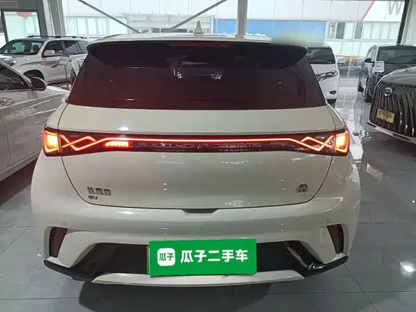 BYD Dolphin 2022