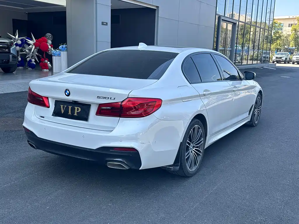 BMW 5 Series 2018 — фото 8