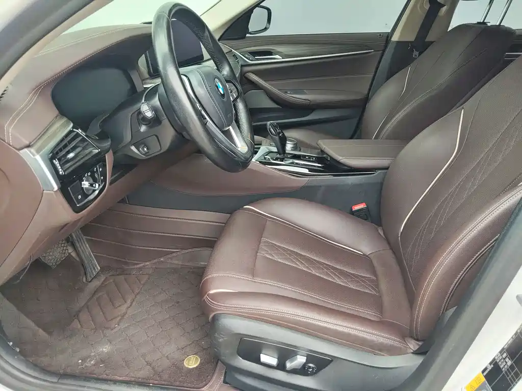 BMW 5 Series New Energy 2021