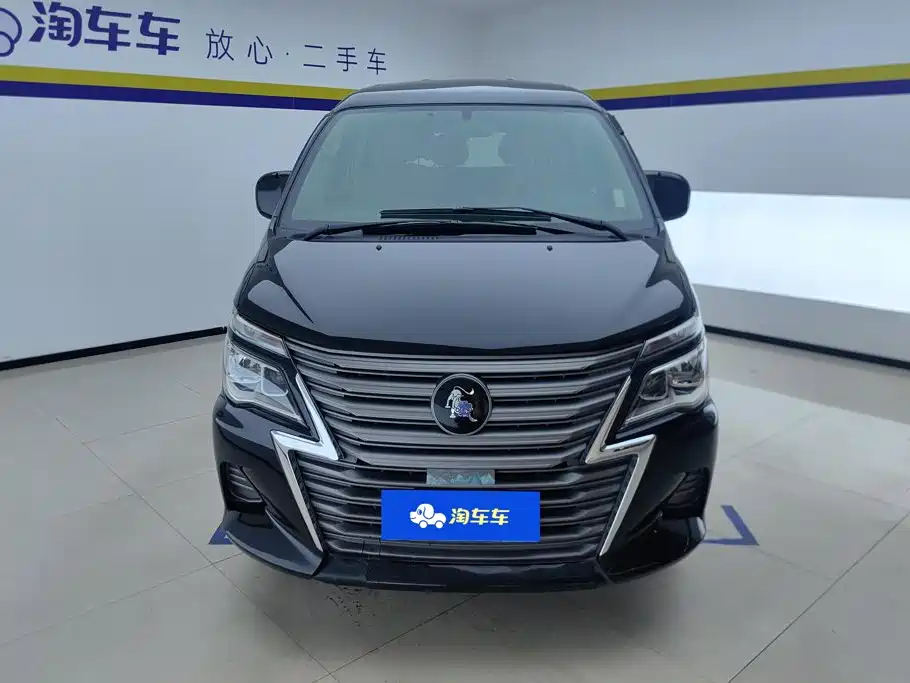 Fengxing Lingzhi 2022