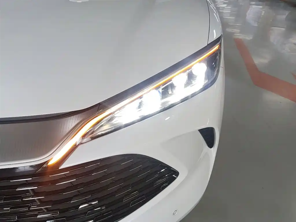 BYD L DM-i 2025 — фото 24