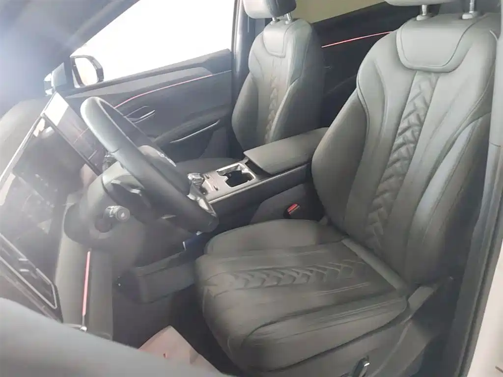 BYD L DM-i 2025 — фото 15