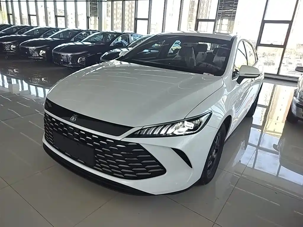 BYD Qin PLUS 2025 — фото 2