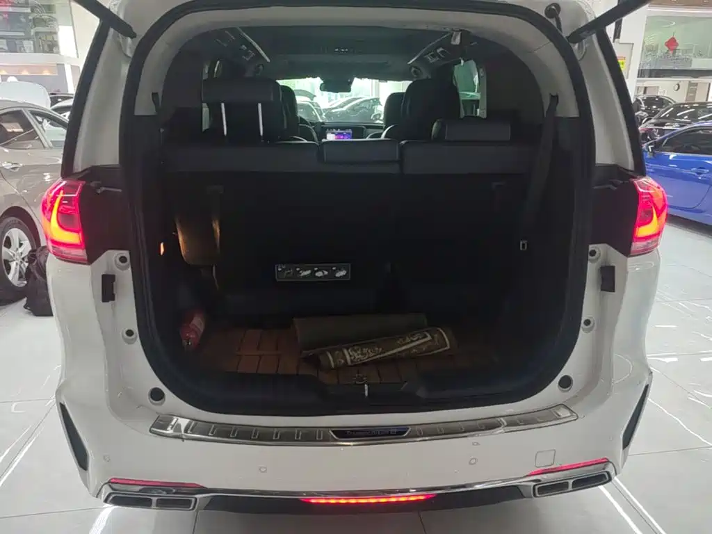 GAC Trumpchi M8 2020 — фото 19