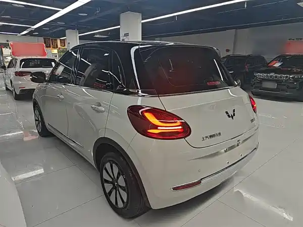 Wuling Bingo 2024