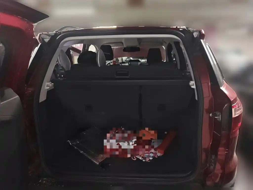 Ford Ecosport 2014 — фото 10