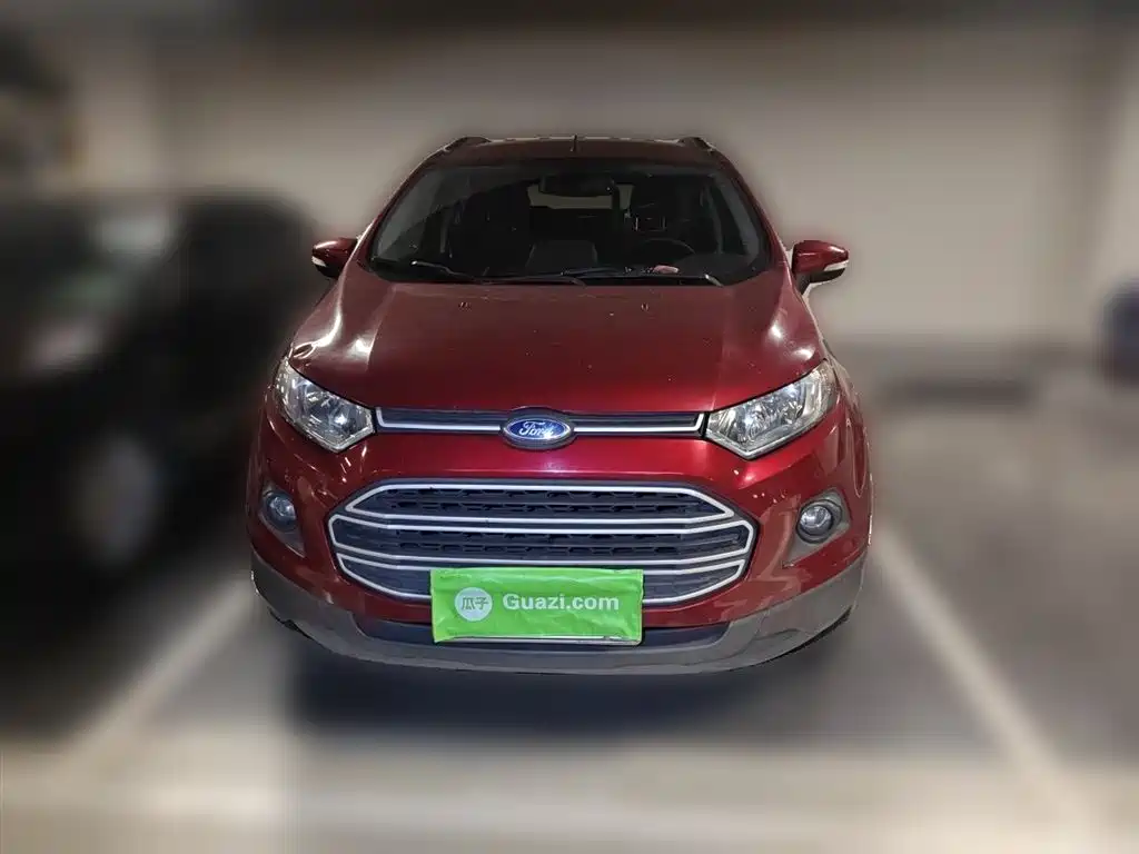 Ford Ecosport 2014 — фото 24