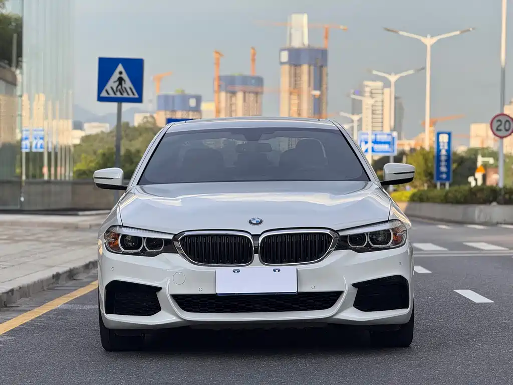 BMW 5 Series 2019