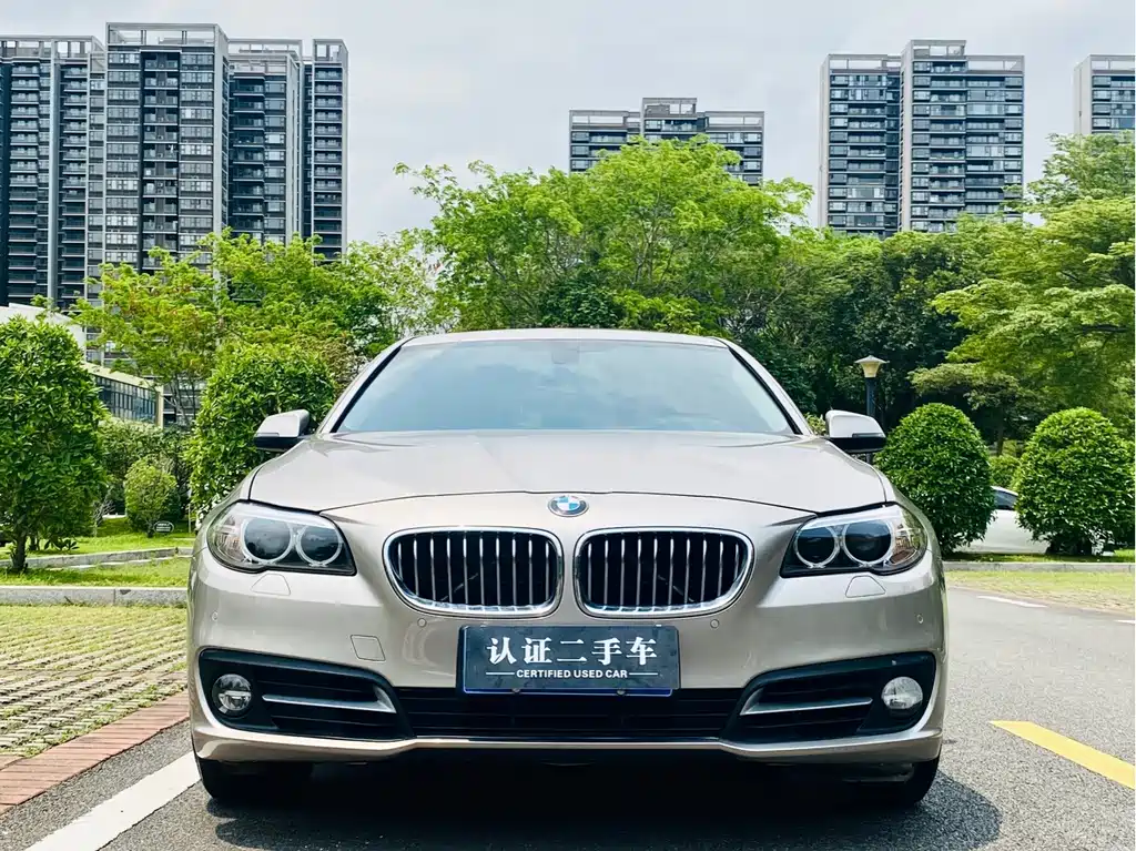 BMW 5 Series 2014