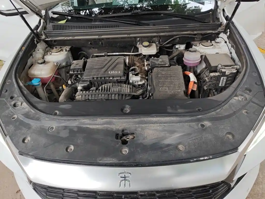 BYD Song Pro New Energy 2024 — фото 16